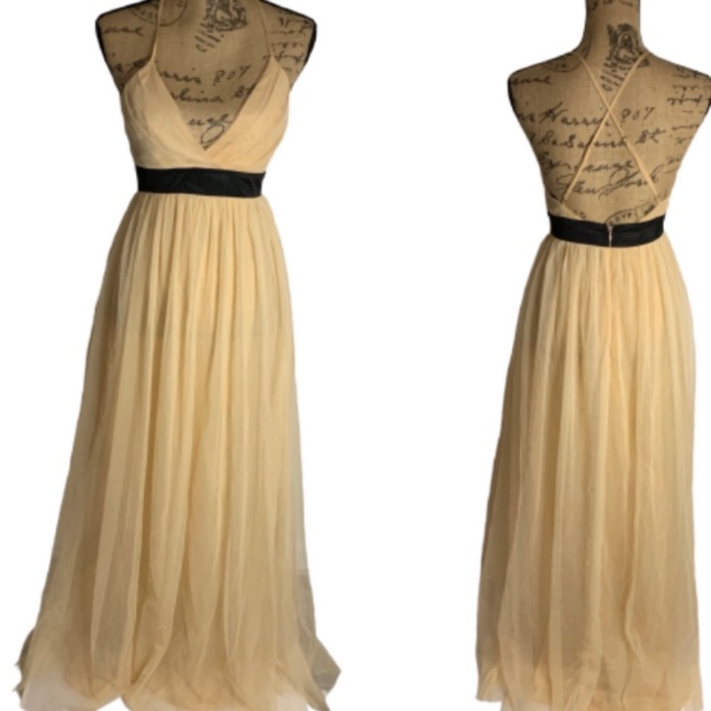 NWT Forever 21 nude black tulle evening dress